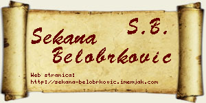 Sekana Belobrković vizit kartica